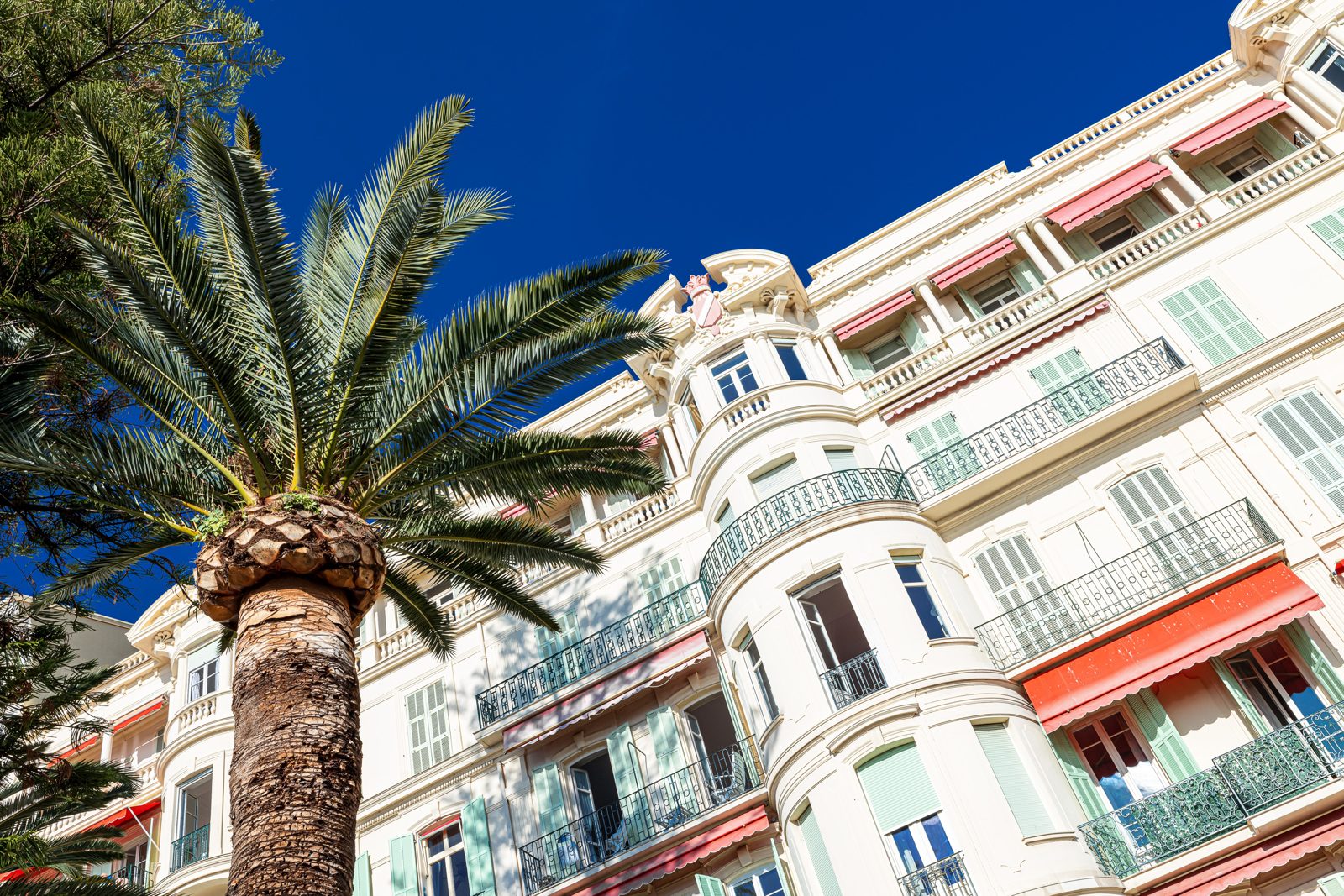 Façade and balconies of the Winter Palace in Cimiez, palm tree in the foreground
